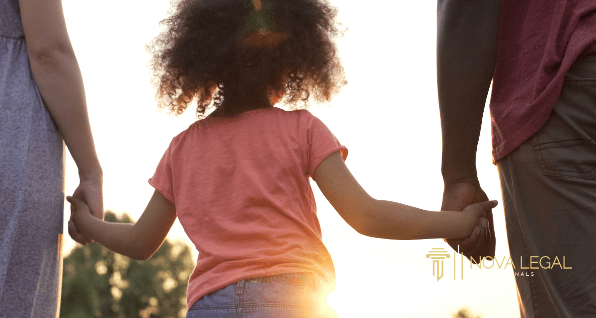 High Income Child Support in Gainesville, VA
