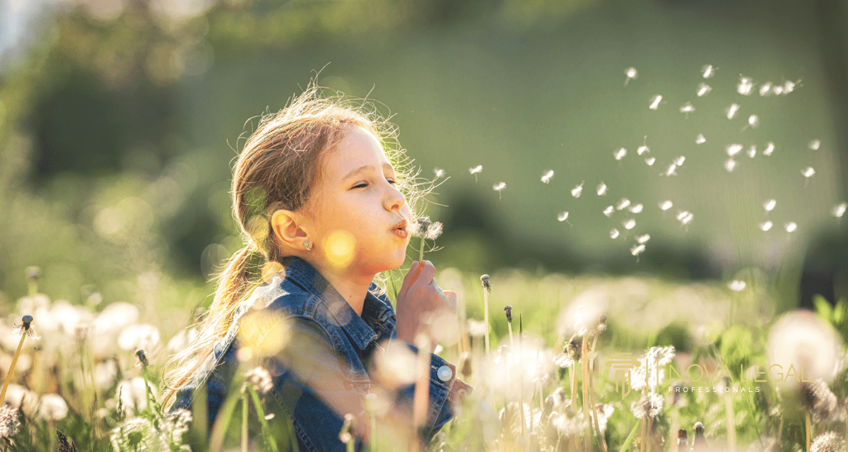 Child Support Income Withholding in Boswell’s Corner, VA