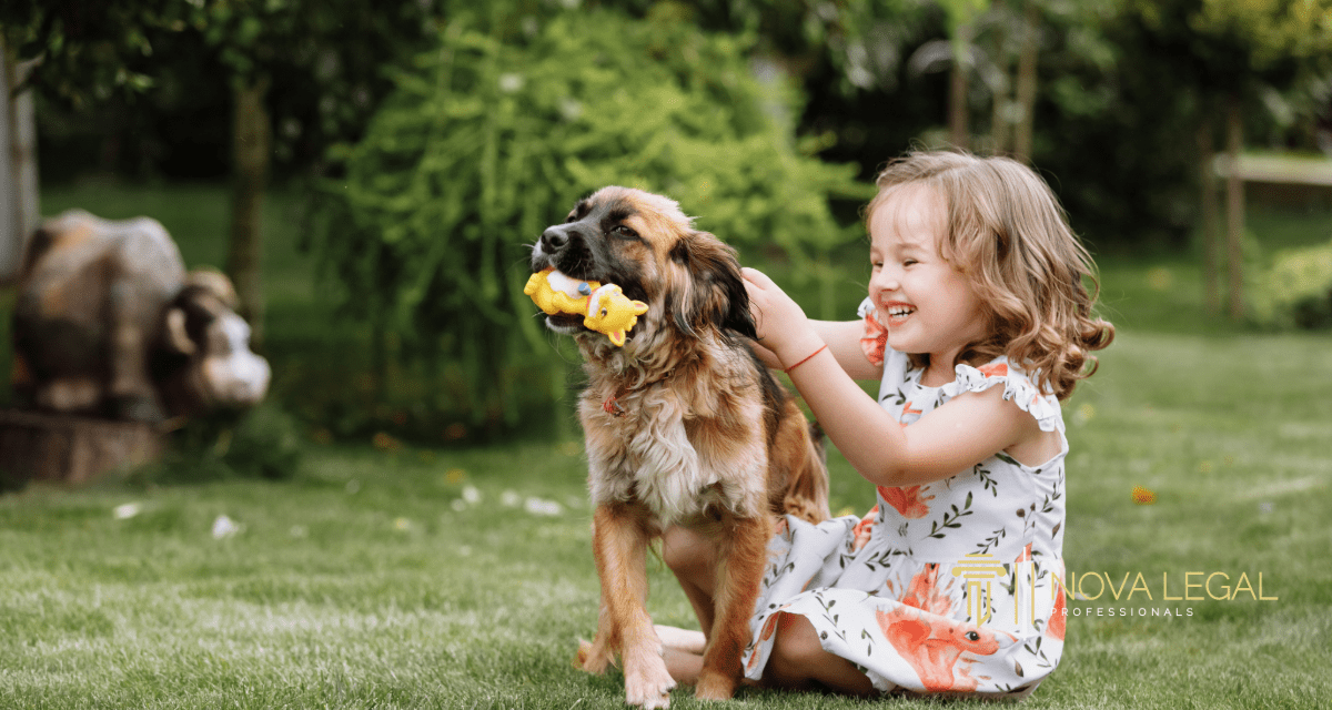 Supervised Visitation Lawyer in Centreville, VA