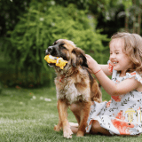 visitation attorney northern virginia 1,Supervised Visitation Lawyer in Centreville, VA,NOVA Legal Professionals,Visitation,Supervised Visitation Lawyer in Centreville, VA | NOVA Legal,supervised visitation Centreville